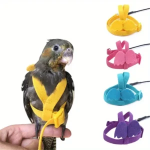 Parrot Bird Harness Leash Set Anti-bite Training Harness